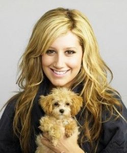 ashley_tisdale_kiskutya-249x300.jpg